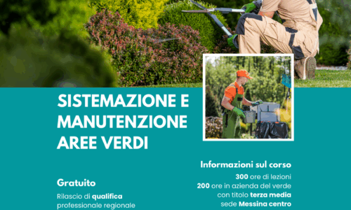 miniatura corso