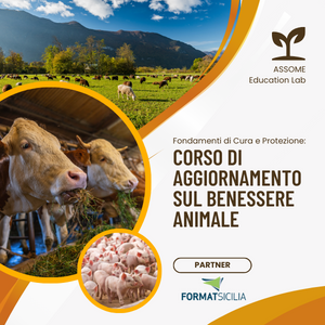 miniatura corso