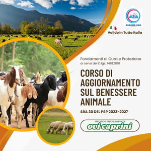 miniatura corso